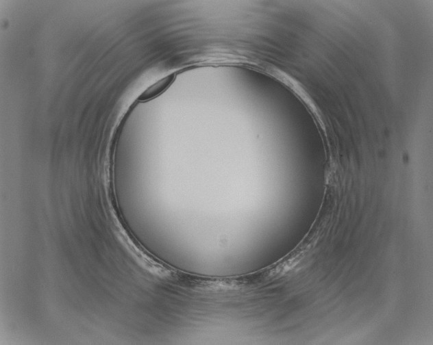 X0000067331195200604131653