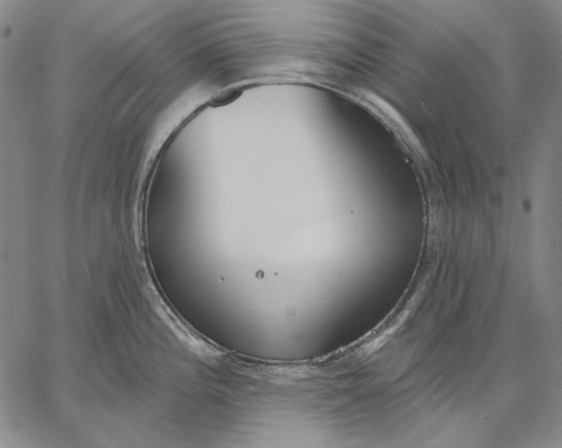 X0000067331196200604131653