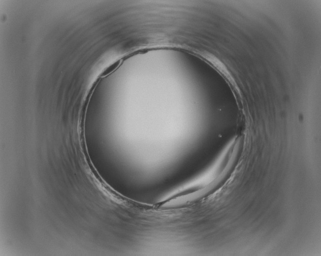 X0000067331197200604131653