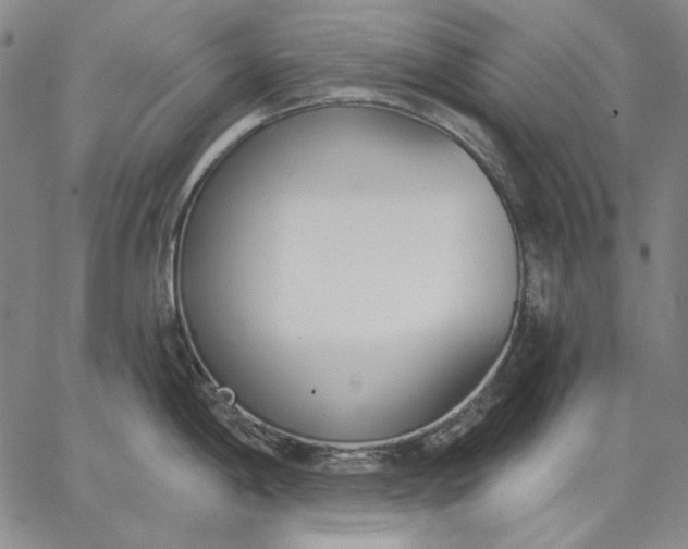 X0000067331198200604131653