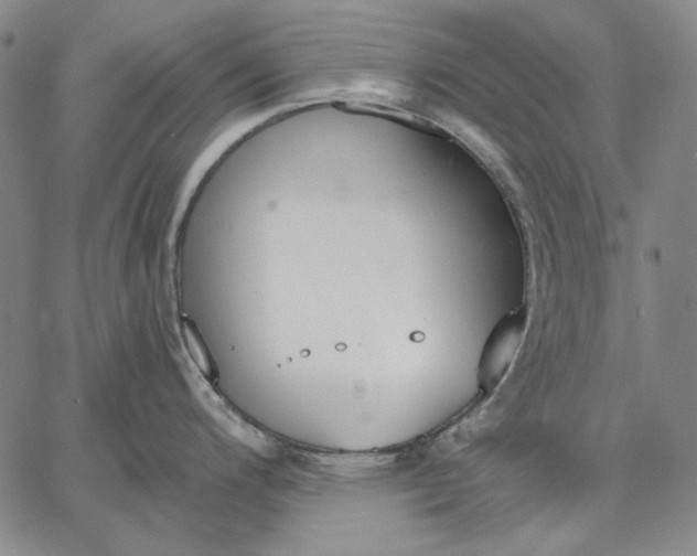 X0000067331200200604131653