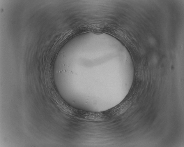 X0000067331201200604131652