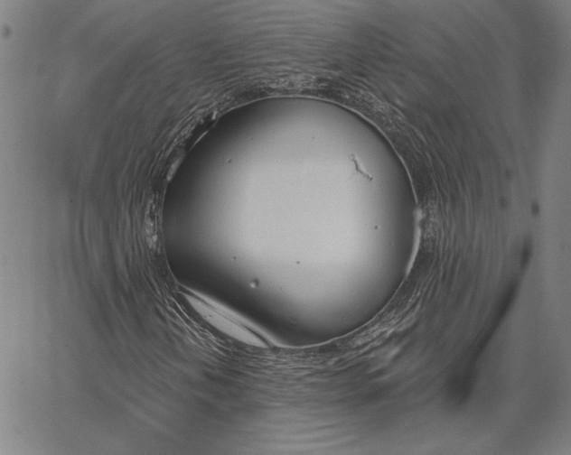 X0000067331202200604131652