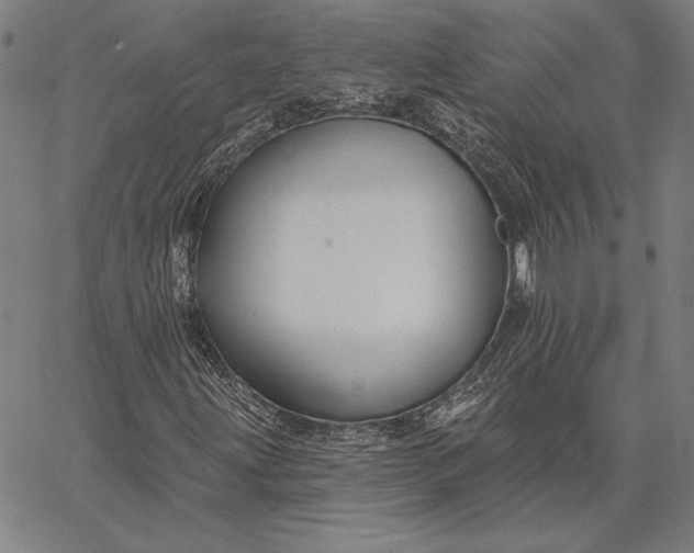 X0000067331203200604131652