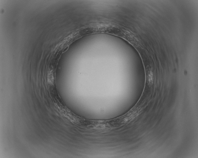 X0000067331204200604131652