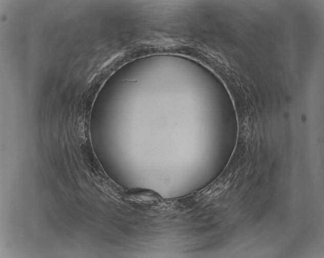 X0000067331205200604131652