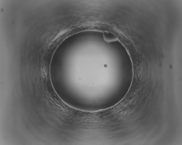 X0000067331206200604131652