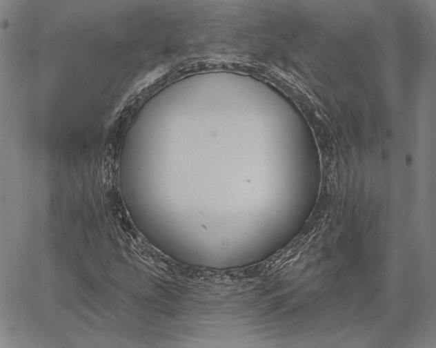 X0000067331207200604131652