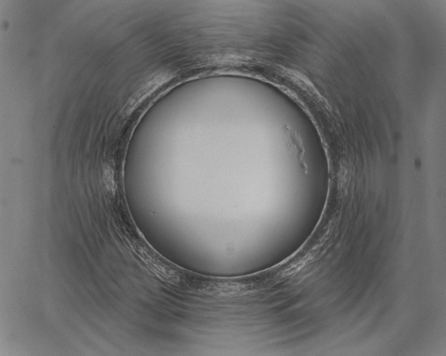 X0000067331209200604131652