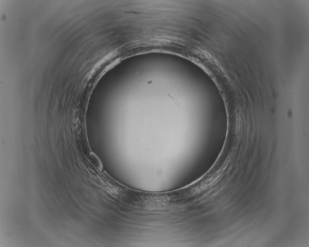 X0000067331210200604131652