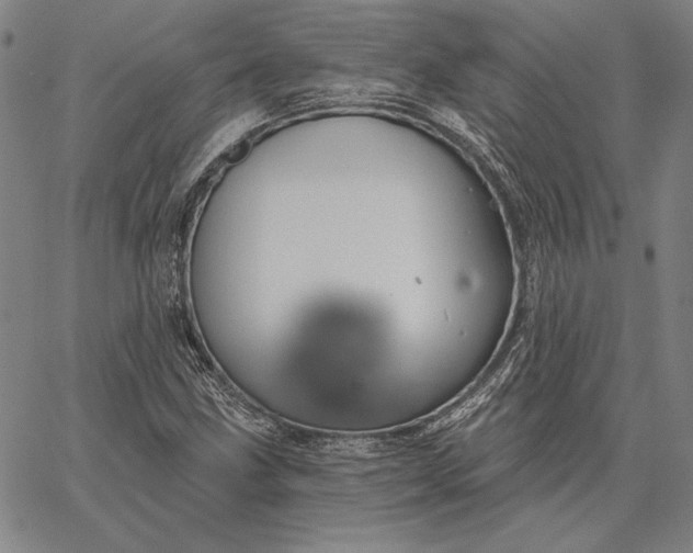 X0000067331211200604131652