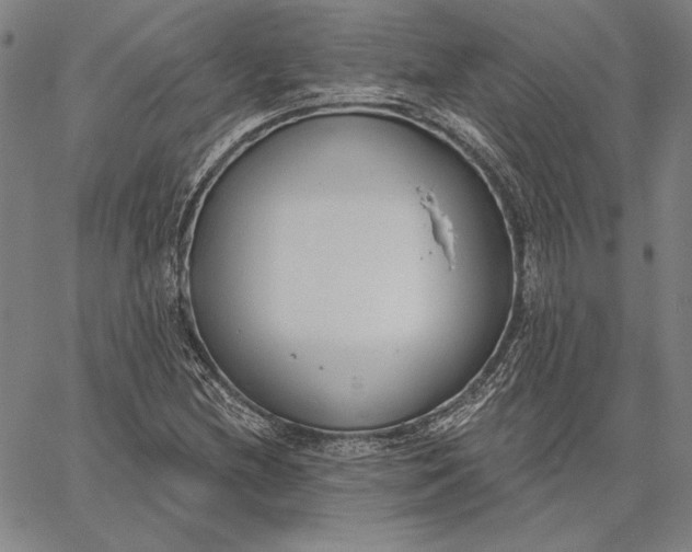 X0000067331212200604131652