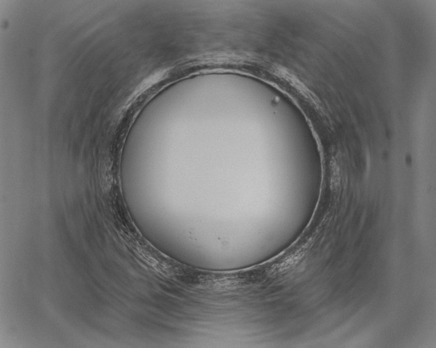 X0000067331213200604131652