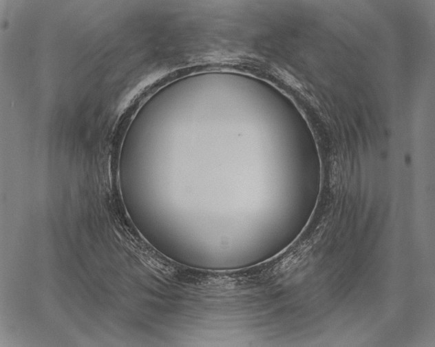 X0000067331214200604131652