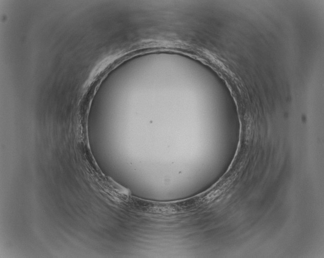 X0000067331215200604131652