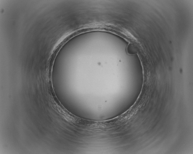 X0000067331216200604131652