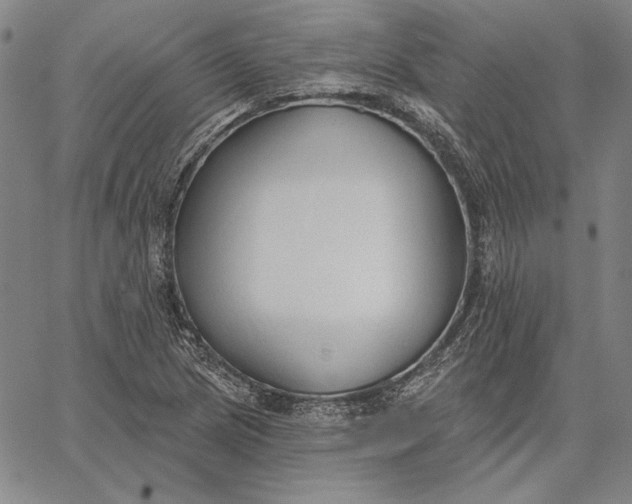 X0000067331217200604131652