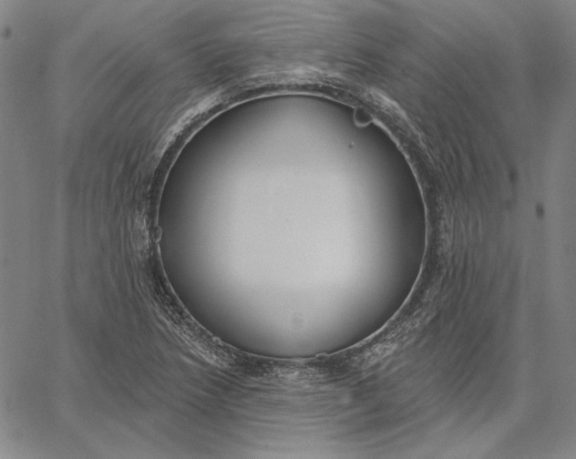 X0000067331218200604131652