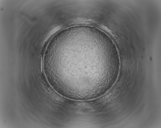 X0000067331219200604131652