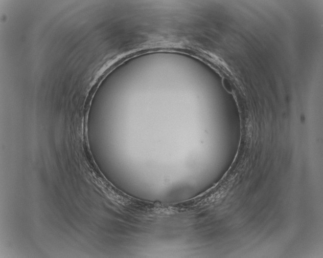 X0000067331220200604131652