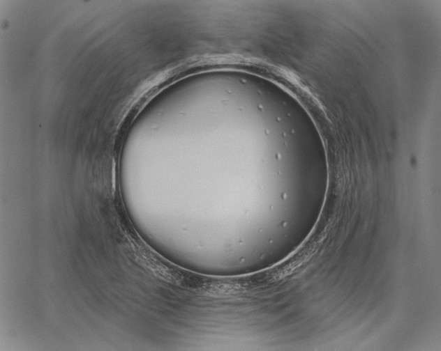 X0000067331221200604131652