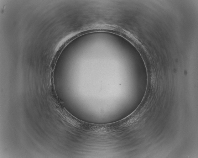 X0000067331222200604131652