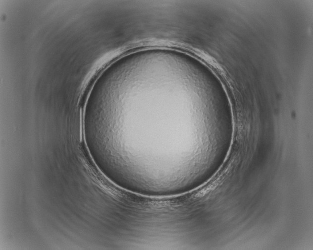 X0000067331223200604131652