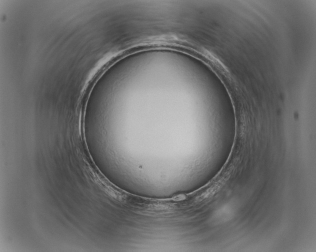 X0000067331224200604131652