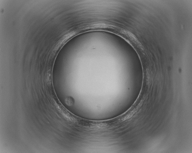 X0000067331225200604131652