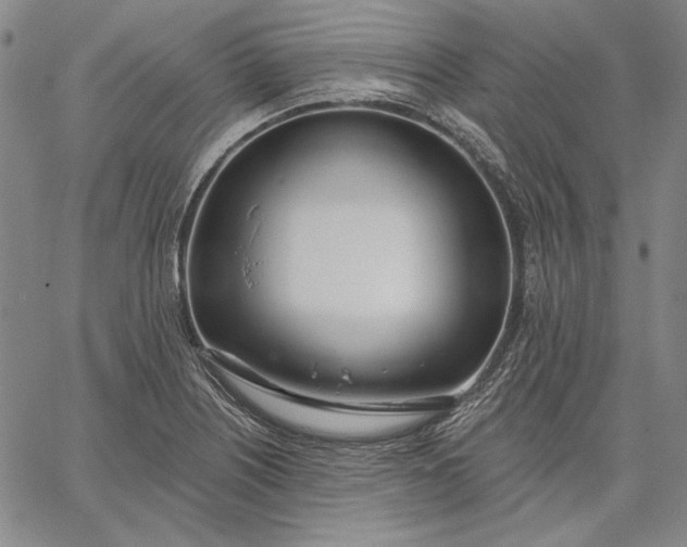 X0000067331226200604131652