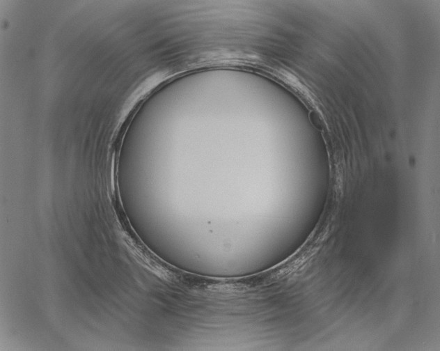 X0000067331227200604131652