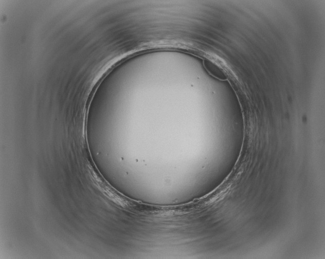 X0000067331228200604131652