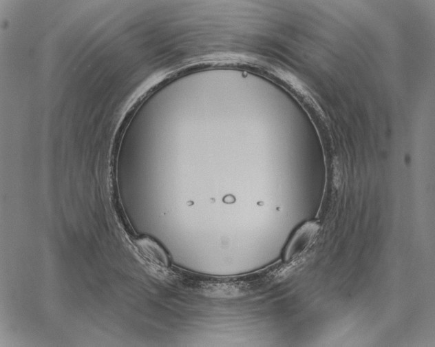 X0000067331229200604131652