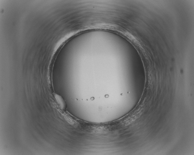 X0000067331230200604131652