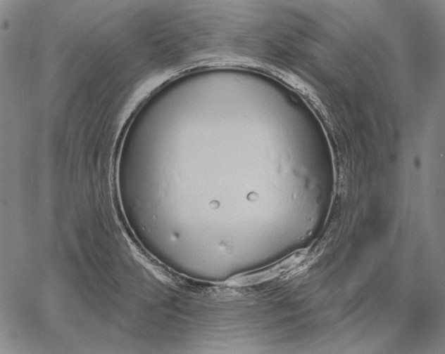 X0000067331231200604131652