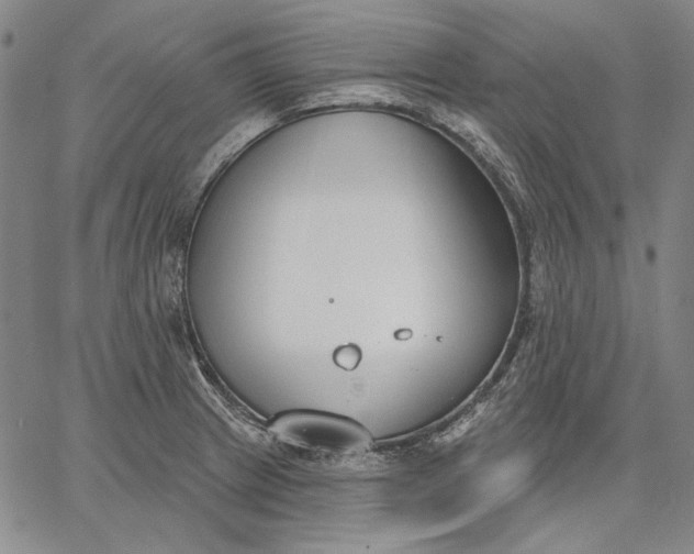 X0000067331233200604131652