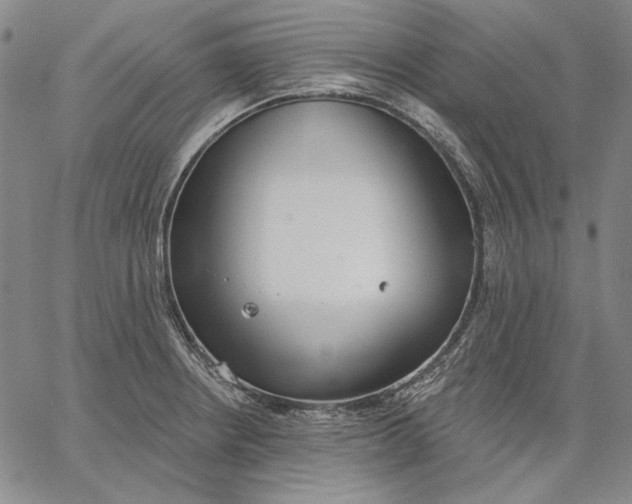 X0000067331234200604131652