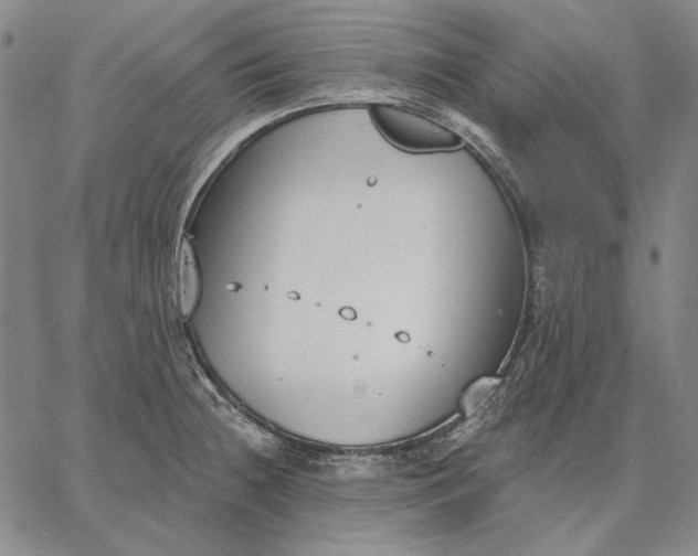 X0000067331236200604131652