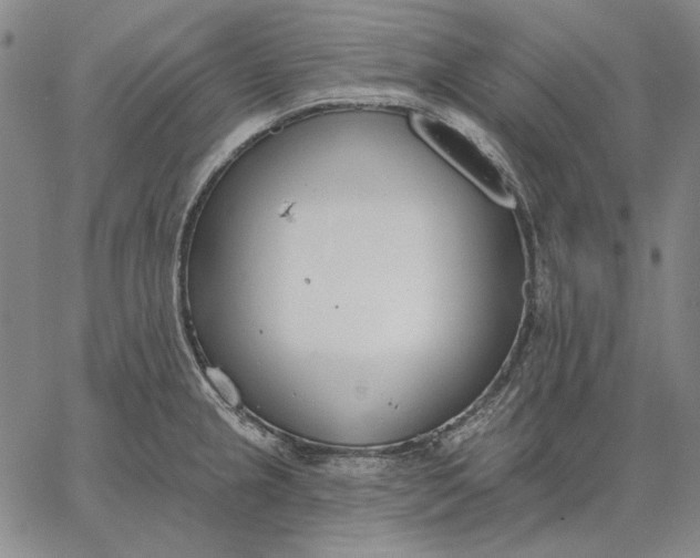 X0000067331237200604131652