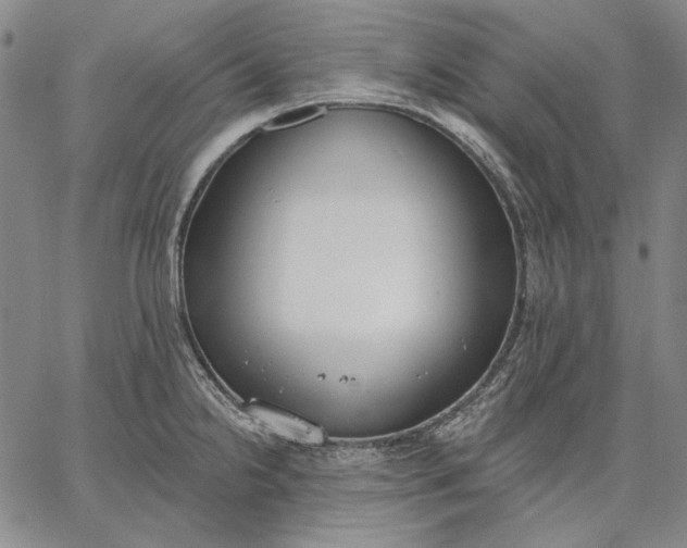 X0000067331238200604131652