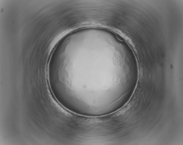 X0000067331239200604131652