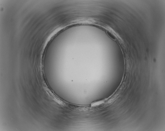 X0000067331240200604131652