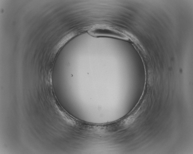 X0000067331241200604131652