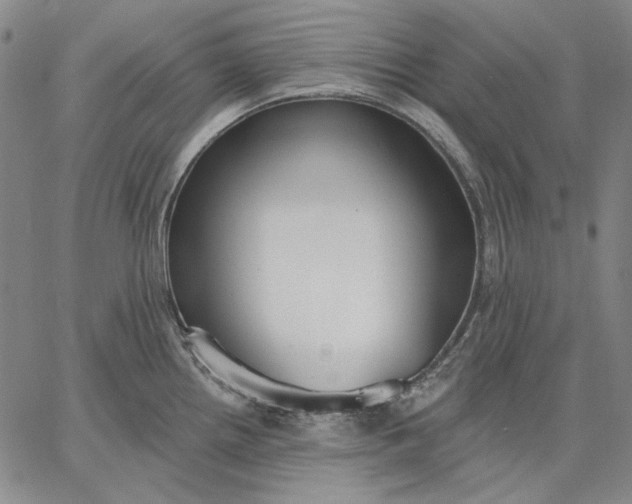 X0000067331242200604131653