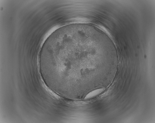 X0000067331243200604131653