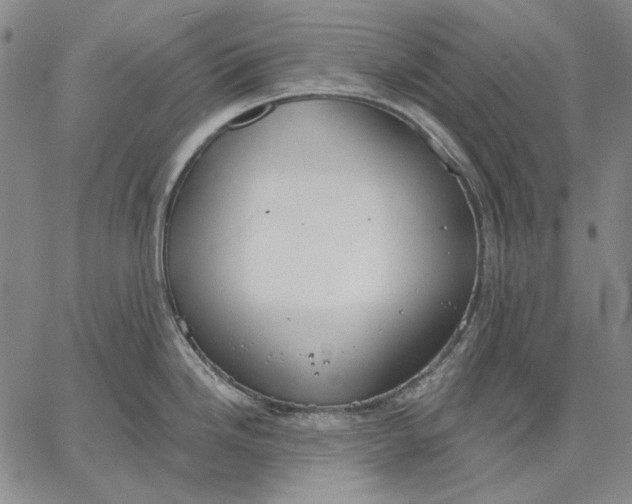 X0000067331246200604131653