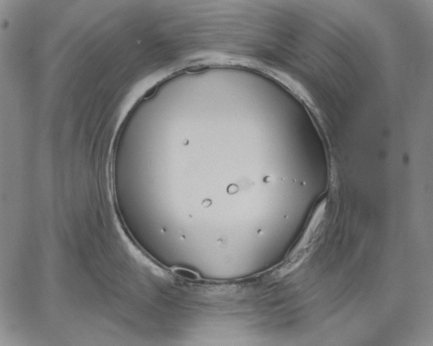 X0000067331247200604131653