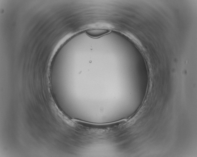 X0000067331248200604131653