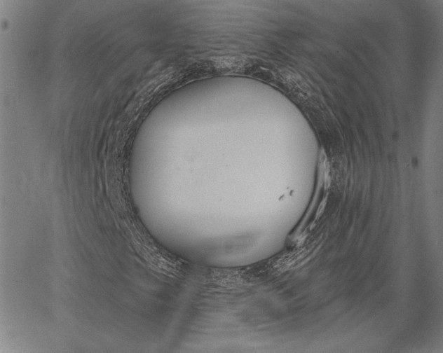 X0000067331249200604131652