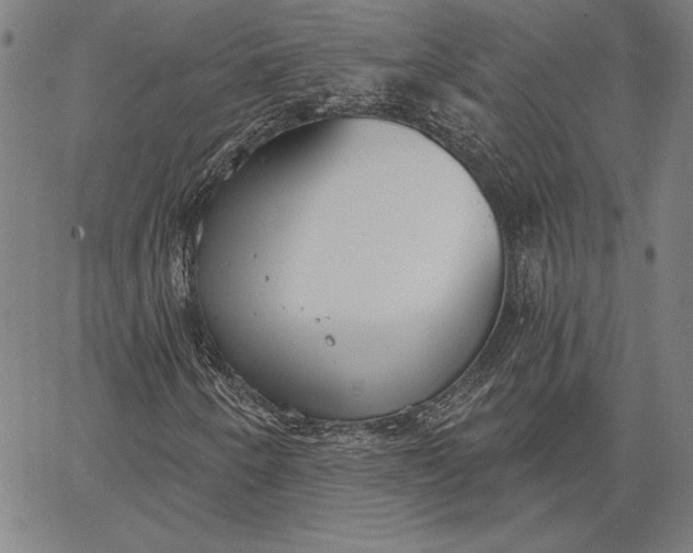 X0000067331250200604131652